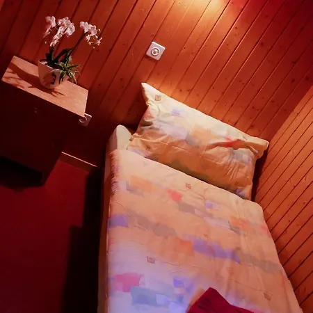 아파트 Haus Apollo Glacier View Saas Fee